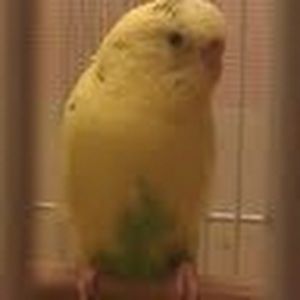 Meet your Posher, Claudia